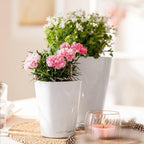 Lechuza MINI-DELTINI Cream White High Gloss, Self-Watering Small Indoor Planter, H5.1 L3.9 W3.9, 0.4L in - Image 2