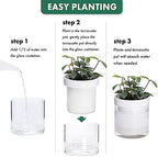 Phoenix Vine 6 Inch 4 Inch Self Watering Planter, White Terracotta Clay Pots with Glass Reservoir for Indoor Plants, Herbs, Flowers, 52-B-G-46 - Image 7