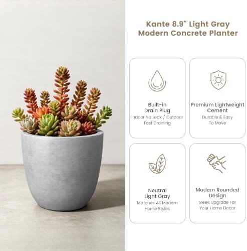 Kante Small Round Bowl Pale Gray Concrete Planter 10" Dia, Outdoor - Image 4