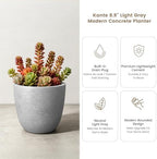 Kante Small Round Bowl Pale Gray Concrete Planter 10" Dia, Outdoor - Image 4