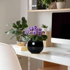 Ceramic African Violet Self Watering Pots, 6 Inch Self Watering Plant Pot with Absorbent Inner Pot, Flower Pots for Indoor Plants, Round Ceramic Planter, Home Decor, Plant Lover Gifts, Black - Image 3