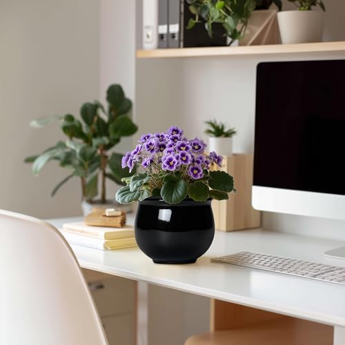Ceramic African Violet Self Watering Pots, 6 Inch Self Watering Plant Pot with Absorbent Inner Pot, Flower Pots for Indoor Plants, Round Ceramic Planter, Home Decor, Plant Lover Gifts, Black - Image 3