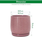D'vine Dev Beaded Ceramic Pot with Saucer, 8 in, Blush Mauve, 27-C-Q-K - Image 3