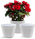 Santino ASTI 7.9 Inch Self Watering Planters Grey/White (Set of 3) for Indoor Plants - Premium Quality Modern Plastic Pot w/Water Level Indicator for All House Plants, African Violets and Dahlias by Smart+Planters