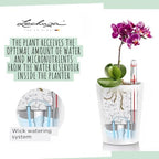 Lechuza 14903 Deltini Self-Watering Planter for Indoor and Outdoor Use, 6" x 6" x 7", Charcoal - Image 6