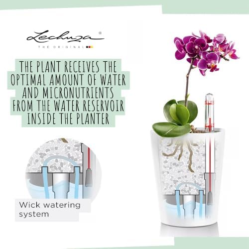Lechuza 14903 Deltini Self-Watering Planter for Indoor and Outdoor Use, 6" x 6" x 7", Charcoal - Image 6
