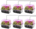 MIXC 6 Pack Seed Starter Kit with Grow Light, Humidity Dome, Transparent by MIXC