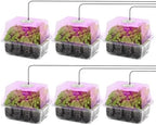 MIXC 6 Pack Seed Starter Kit with Grow Light, Humidity Dome, Transparent by MIXC