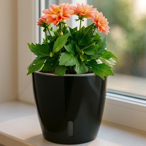 Self Watering Pots for Indoor Plants, 12-Pack 5'' Self Watering Planter with Drainage Holes, Small African Violet Pots with Water Level Indicator, Clear Wick Pot, Black - Image 6