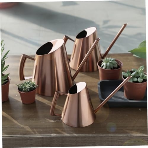 900ml Stainless Steel Watering Can with Long Spout for Plants - Image 2