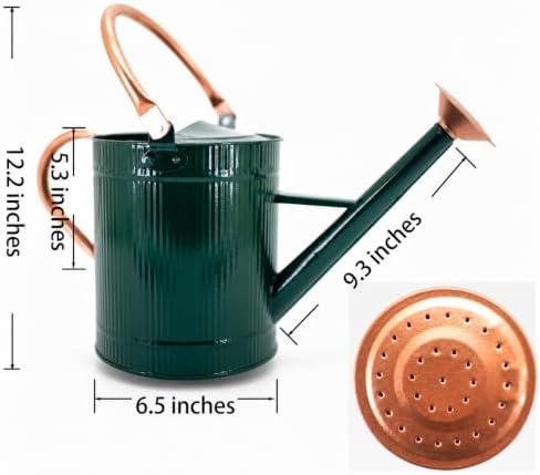 1 Gallon Dark Green Metal Watering Can, Removable Spout - Image 2