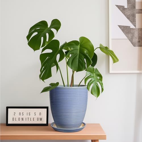 EEPFamily 8 Inch Plant Pot- Ceramic Planter for Indoor Outdoor with Drainage Hole and Plant Tray, Modern Round Porch Home Office Garden Living Room Decor, House Warming Gifts, Blue-Purple - Image 2