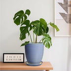 EEPFamily 8 Inch Plant Pot- Ceramic Planter for Indoor Outdoor with Drainage Hole and Plant Tray, Modern Round Porch Home Office Garden Living Room Decor, House Warming Gifts, Blue-Purple - Image 2