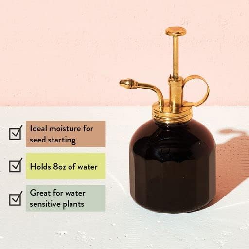 Modern Sprout Plant Mister - 8 oz Indoor Watering Can & Sprayer - Black - Image 6