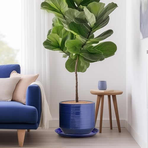 Plant Saucer for Outdoors - Ceramic Plant Saucer, 10 Inch Plant Trays for Indoors, Round Flower Pot Saucer, Large Plant Drainage Tray, Plant Plates to Catch Water Blue - Image 6