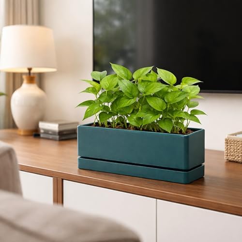 D'vine Dev 2-Pack Rectangular Planters, 12 x 4.5 in, Green, 76-X-C-2 - Image 5