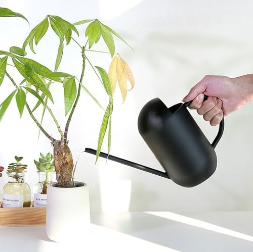 2Pcs Stainless Steel Watering Can with Long Spout 900ML Indoor Outdoor Plant Watering Pot - Image 3