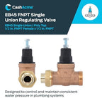 Cash Acme EB45 Pressure Regulating Valve, Single Union, 1/2 Inch NPT Female x NPT Female, Poly Top, 60 PSI, PVA08P-SUTH-60 - Image 2
