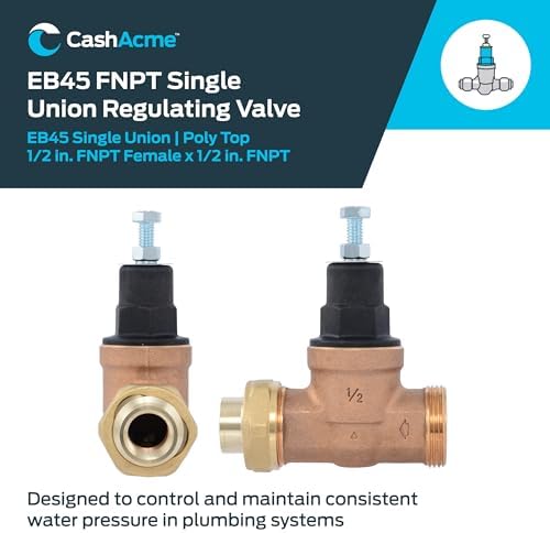 Cash Acme EB45 Pressure Regulating Valve, Single Union, 1/2 Inch NPT Female x NPT Female, Poly Top, 60 PSI, PVA08P-SUTH-60 - Image 2