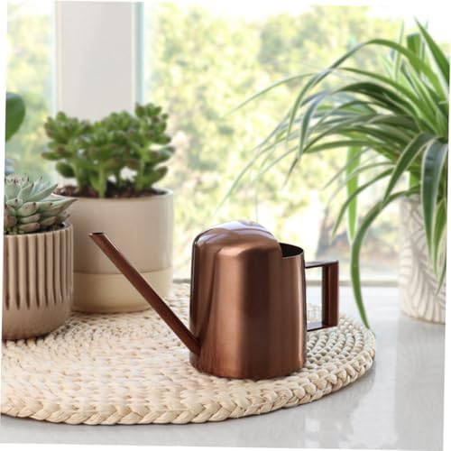 LIOOBO 2pcs Watering Can Indoor Plants Indoor Plant Accessories Water Pot for Plants Plant Water Plants Pitcher Water Can for Plants Watering Pots Light Brown Stainless Steel - Image 4