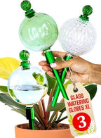 3pc 16 Oz Plant Watering Globes Large Self Watering Globes For Indoor Plant by GARDENBRO