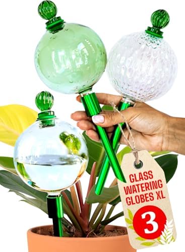 3pc 16 Oz Plant Watering Globes Large Self Watering Globes For Indoor Plant by GARDENBRO