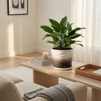 8 Inch Ceramic Plant Pot,Dark Gray+White - Image 2