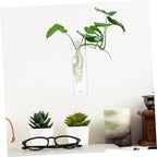 Toyvian 8pcs Glass Wall Hanging Vases for Flowers Minimalistic Hydroponic Plant Holders for Home Decor for Bouquets and Cuttings Elegant Design - Image 7