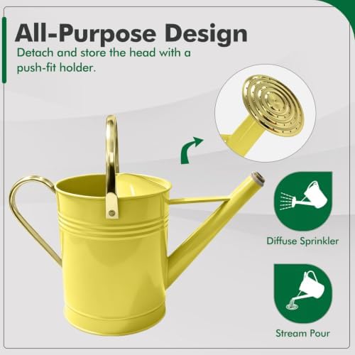 Gold Galvanized Iron Watering Can for Indoor Plants, DIY Watering Cans for House Plant Garden Flower, Long Spout Water Can for Outdoor Watering Plants 6.44L 1.7Gallon (Beige) - Image 4