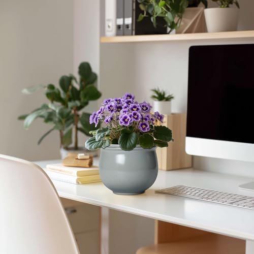 6 Inch Ceramic African Violet Pot, Easy Self Watering Pots with Absorbent Inner Pot, Round Self Watering Planter, Ceramic Pots for Plants Indoor, Apartment Decor, Housewarming Gifts, Grey - Image 3