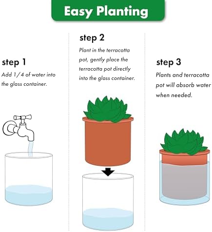 Phoenix Vine 4 Inch 6 Inch Self Watering Plants Pots, Design Terracotta Pots for Plants, Indoor Cylinder Terra Cotta Planter with Glass Vase Set, 51-A-G-46 - Image 6