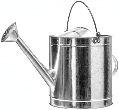 Watering Can, 1 PC by Unknown