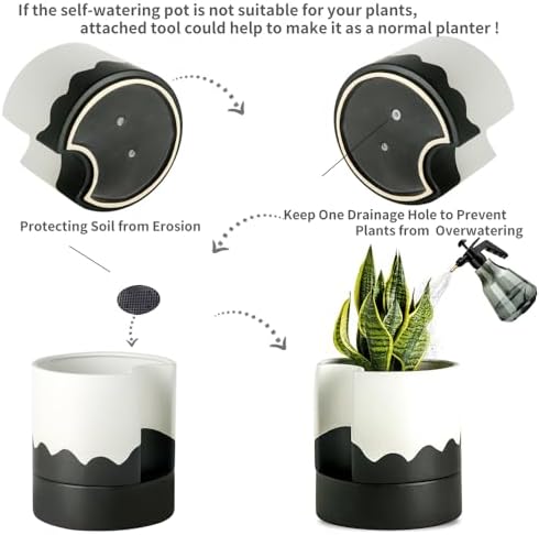 Nihow Self Watering Plant Pot, 8 Inch, White & Wave Black - Image 4