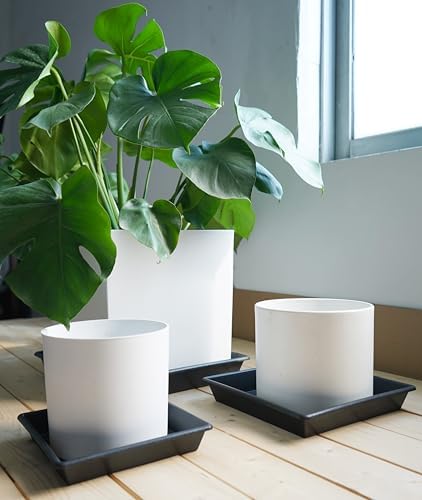 NIMYAU Square Plant Saucer 14 Inch 4 Pack, Plant Stand Plant Trays for Pots Heavy Duty Plastic Plant Saucers for Indoors Outdoors, Flower Pot No Holes Terracotta Plant Lover Gardening Gifts - Image 7