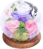 Zerodis H Icrafts Light LED Flower Glass Ball Lamp with Handcrafted Dome for Home Decor Bedroom Office Gift Rose Flowers Glass Globe (Type 2) - Image 6