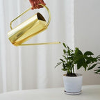51oz Stainless Steel Watering Can, Long Spout Houseplant Waterer - Image 2