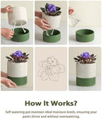 Fayoula Self Watering Pots for Indoor Plants, 6 Inch Ceramic Self Watering Plant Pot, Planter Pot with Wick Rope and Drainage Hole for African Violet Succulent Herbs (White Matte) - Image 6