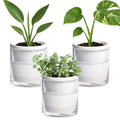 D'vine Dev Self-Watering White Terracotta Planter, 4 in, 3-Pack, 37-Z-A-2-T by DvineDevPlanterPotsandStand
