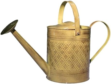 Headwind Wexley 2 Gallon Watering Can, Large Metal Watering Can Outdoor with Brass Rose Sprinkler Head, Vintage Galvanized Steel Garden Watering Can – Chamomile Yellow by Headwind
