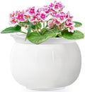 8 inch Self Watering Ceramic African Violet Pot for Indoor Plants by LITUDISO