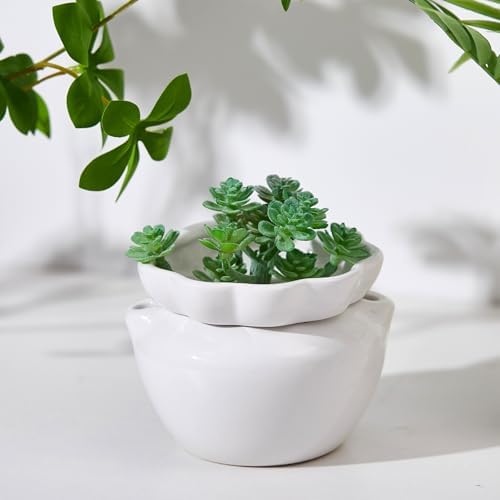 4 Set 4 Inch African Violet Pots Self Watering Ceramic - Image 6