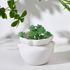 4 Set 4 Inch African Violet Pots Self Watering Ceramic - Image 6
