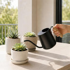 Plant Watering Can, Metal Small Indoor Watering Can with Long Spout & Real Wood Handle for House-Plants, Succulents, Cacti & Seedlings, Small Bonsai Outdoor Garden Modern Decorative - Image 3