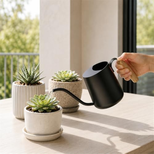 Plant Watering Can, Metal Small Indoor Watering Can with Long Spout & Real Wood Handle for House-Plants, Succulents, Cacti & Seedlings, Small Bonsai Outdoor Garden Modern Decorative - Image 3