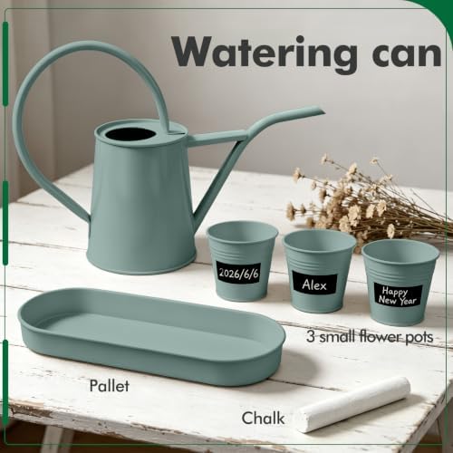 Mint Green Small Watering Can, Metal Galvanized Watering Can with 3 Reusable Chalk‑Writing Mini Flower Pots & Tray, Indoor Desktop Planting Kit for Home Garden & Plant Lover Gifts - Image 3
