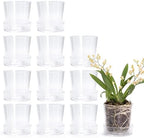 Phoenix Vine 3.5 Inch Clear Acrylic Planter Pot with Tray, Orchid Pot with Drainage Holes, Deep Saucer for Bottom Watering, Transparent Containers for Indoor Plants, Herbs, Set of 12, 91-A-D-12 by Phoenix+Vine