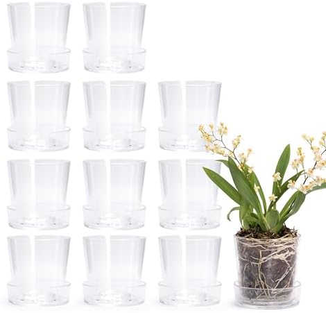 Phoenix Vine 3.5 Inch Clear Acrylic Planter Pot with Tray, Orchid Pot with Drainage Holes, Deep Saucer for Bottom Watering, Transparent Containers for Indoor Plants, Herbs, Set of 12, 91-A-D-12 by Phoenix+Vine