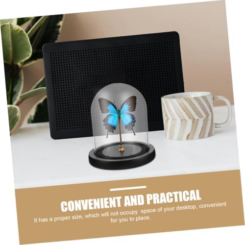 Mikinona Small Glass Dome Display Case with Black Base for Decor - Image 3