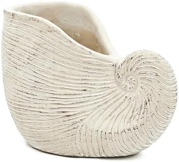 Nautilus Shell Planter, 8.5 Inch, Beige - Image 3