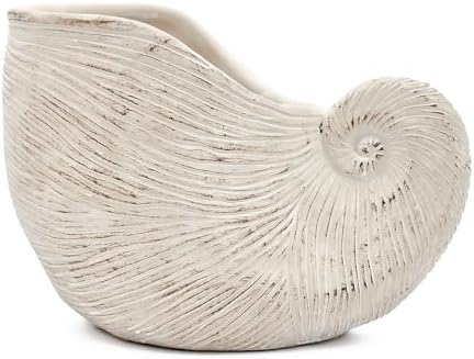 Nautilus Shell Planter, 11.5 Inch, Textured Beige Finish - Image 5